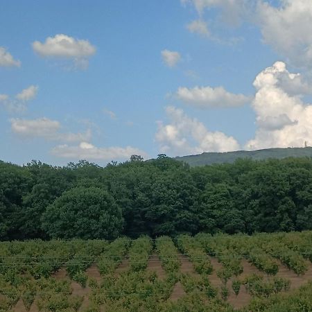 Il Sartore Vetralla Kültér fotó