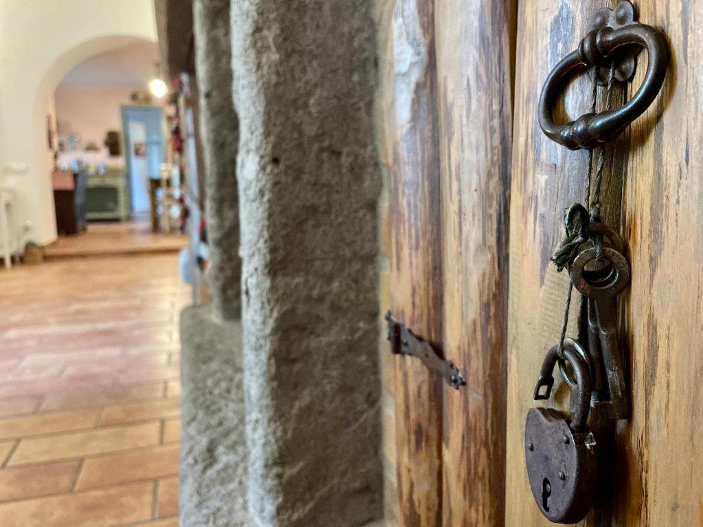 Il Sartore Vetralla Kültér fotó